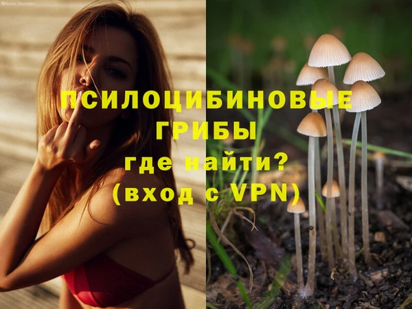 марки nbome Белокуриха