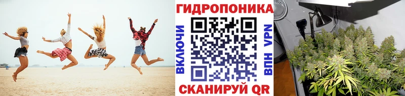 купить  цена  Тюкалинск  Шишки марихуана сатива 